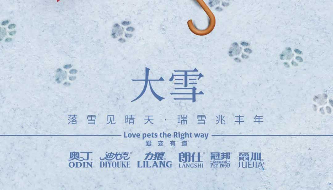大雪丨雪落知寒意 久伴見初心！