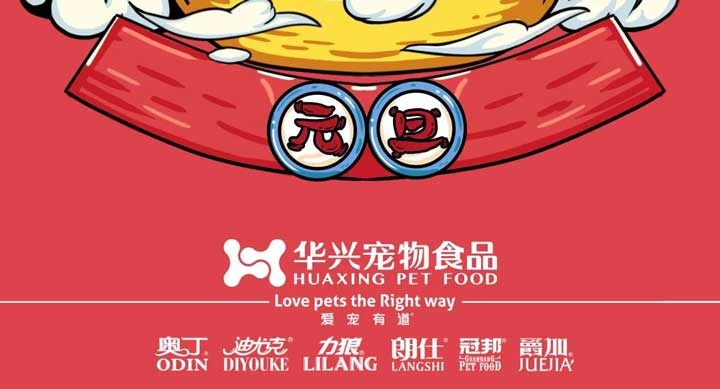 元旦丨新的一年，寵愛有加